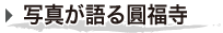 写真が語る圓福寺